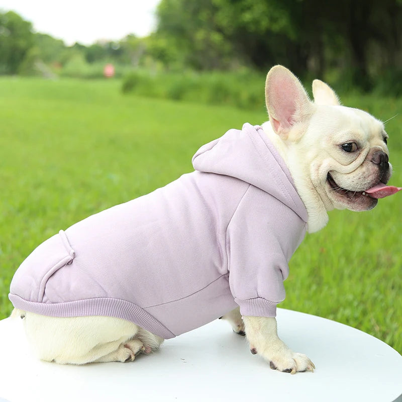 Cozy Autumn & Winter Dog Hoodie